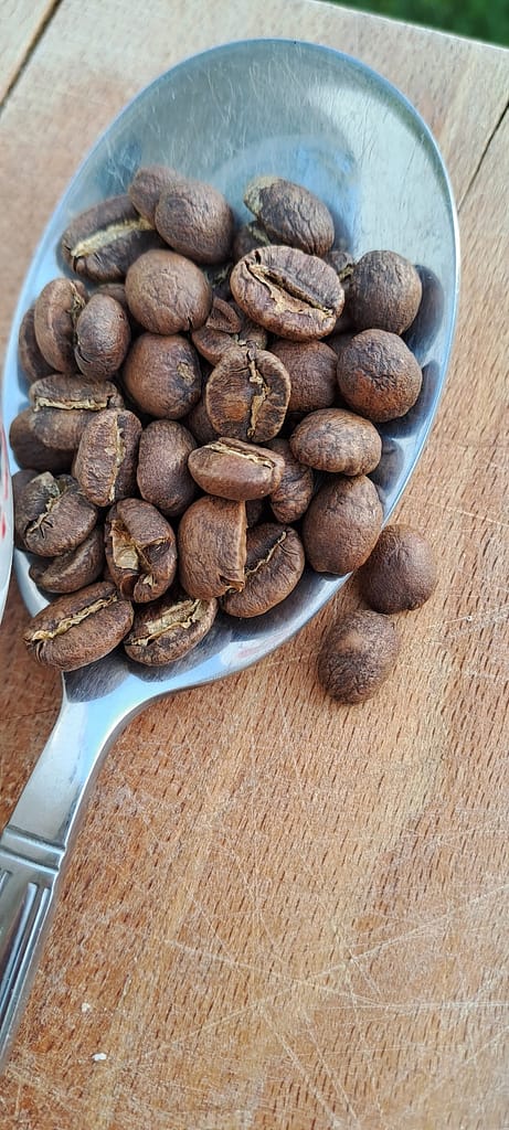 Kenya nyeri matunda