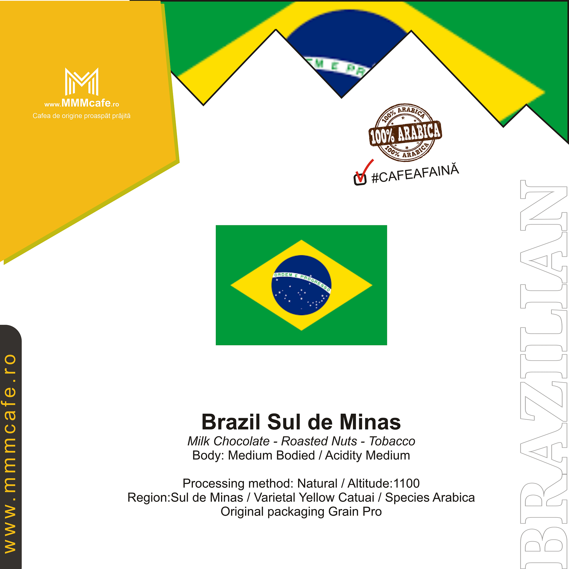 Brazilia sul de minas