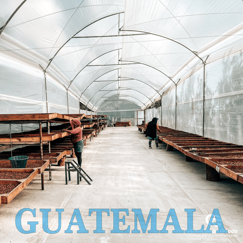 GUATEMALA PHOTO 1