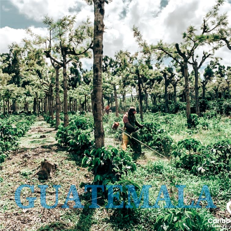 GUATEMALA PHOTO 2