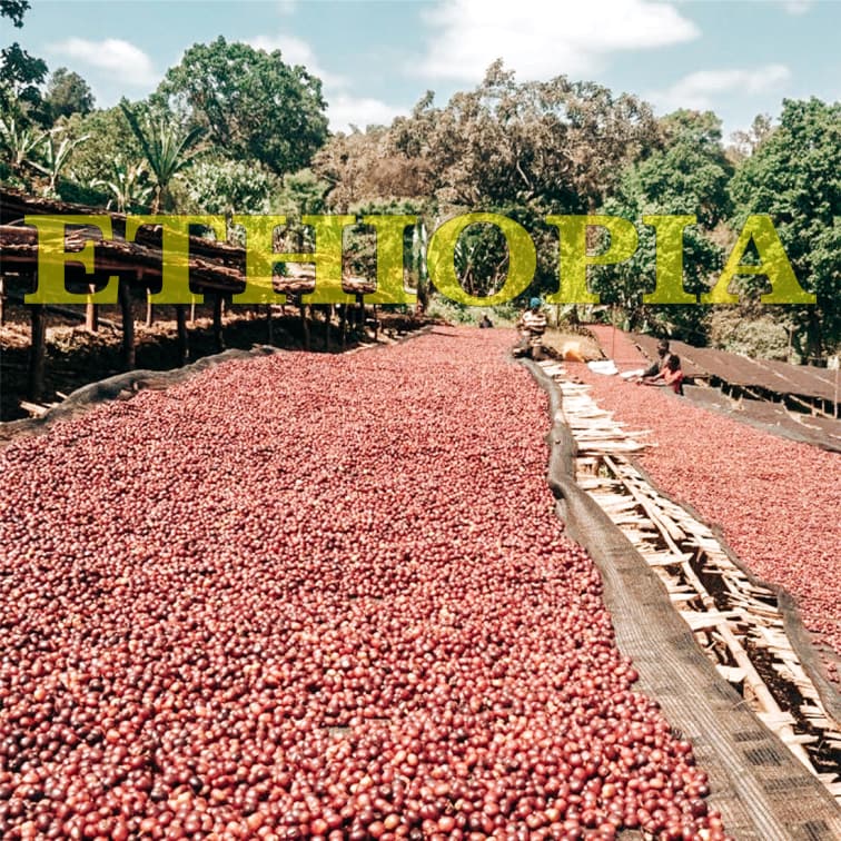 ETHIOPIA